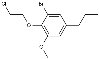 1-bromo-2-(2-chloroethoxy)-3-methoxy-5-propylbenzene Structure