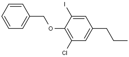 2-(benzyloxy)-1-chloro-3-iodo-5-propylbenzene Structure