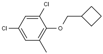 1,5-dichloro-2-(cyclobutylmethoxy)-3-methylbenzene Structure