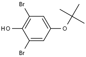 2,6-dibromo-4-(tert-butoxy)phenol Structure