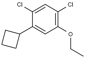 1,5-dichloro-2-cyclobutyl-4-ethoxybenzene 구조식 이미지