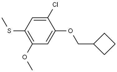 (5-chloro-4-(cyclobutylmethoxy)-2-methoxyphenyl)(methyl)sulfane Structure