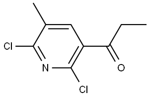 1-(2,6-dichloro-5-methylpyridin-3-yl)propan-1-one Structure