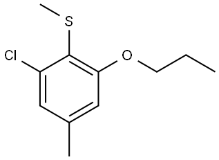 (2-chloro-4-methyl-6-propoxyphenyl)(methyl)sulfane Structure