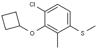 (4-chloro-3-cyclobutoxy-2-methylphenyl)(methyl)sulfane Structure