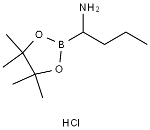 1-(4,4,5,5-Tetramethyl-1,3,2-dioxaborolan-2-yl)butylamine hydrochloride Structure