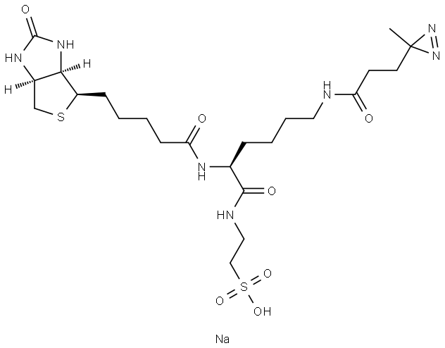 sodium 2-((S)-6-(3-(3-methyl-3H-diazirin-3-yl)propanamido)-2-(5-((3aR,4R,6aS)-2-oxohexahydro-1H-thieno[3,4-d]imidazol-4-yl)pentanamido)hexanamido)ethane-1-sulfonate Structure