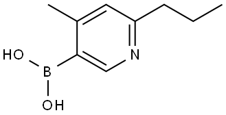 (4-methyl-6-propylpyridin-3-yl)boronic acid Structure