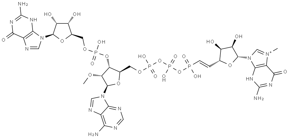 NA Structure