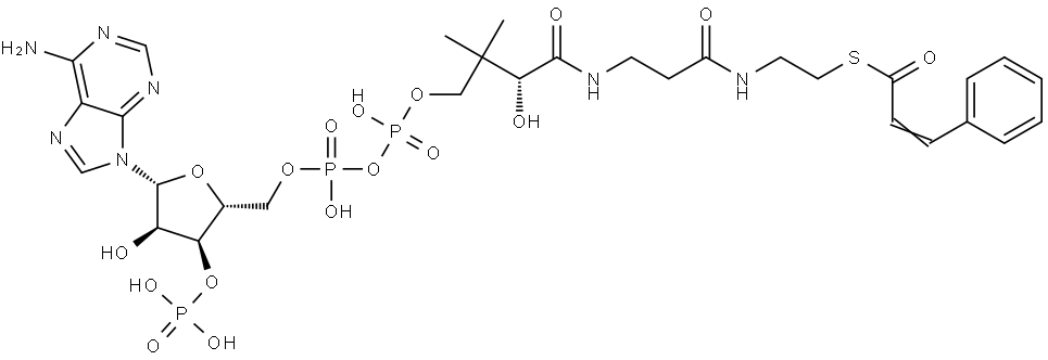 Coenzyme A, S-(3-phenyl-2-propenoate) Structure