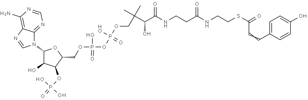 Coenzyme A, S-[3-(4-hydroxyphenyl)-2-propenoate] Structure