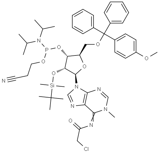 N6-Chloroacetyl-5’-O-DMT -N1-methyl-2’-O-TBDMS-adenosine 3’-CED phosphoramidite Structure