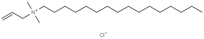 C16DMAAC Structure