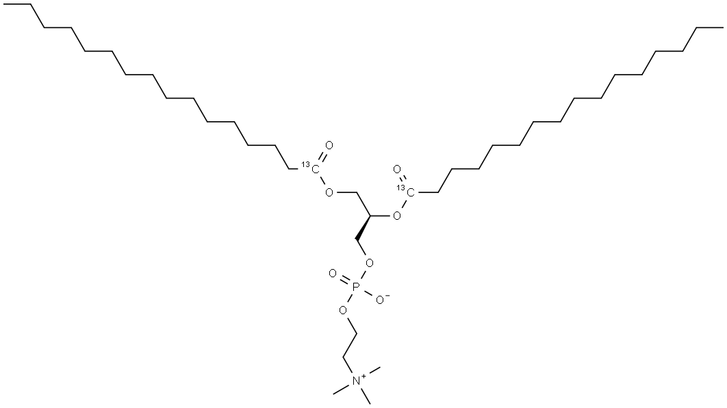 1,2-Dipalmitoyl-13C-sn-glycero-3-PC Structure