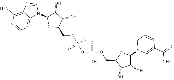 Adenosine 5'-(trihydrogen diphosphate), P'→5'-ester with 1,6-dihydro-1-β-D-ribofuranosyl-3-pyridinecarboxamide Structure