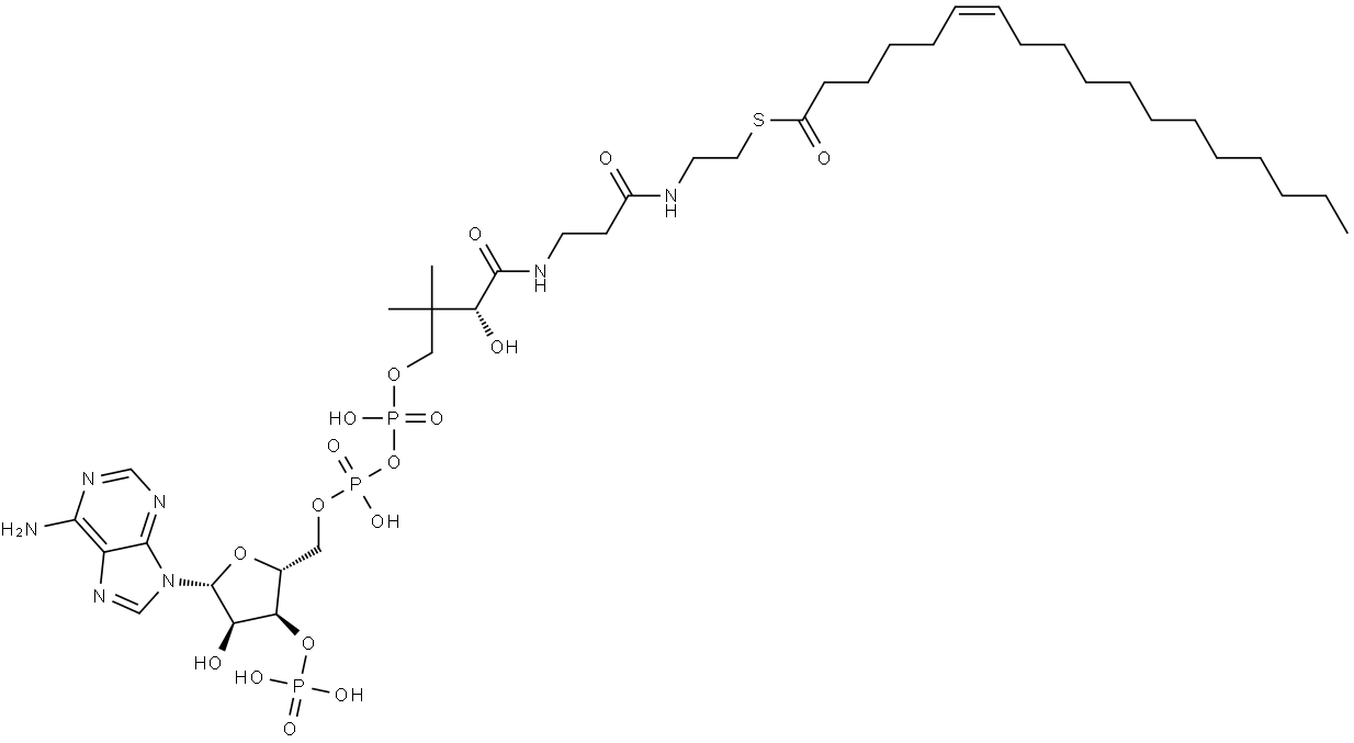 Coenzyme A, S-6-octadecenoate, (Z)- (9CI) Structure