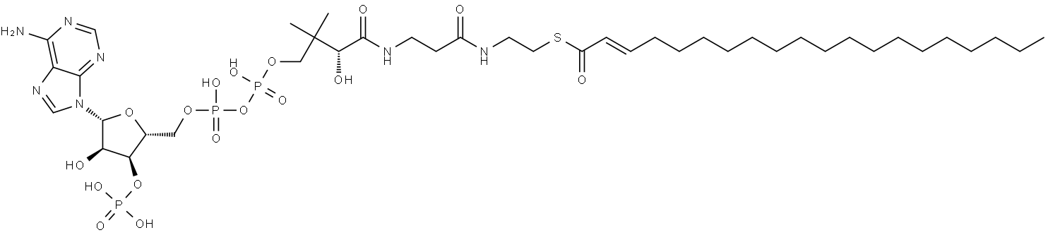 Coenzyme A, S-(2E)-2-eicosenoate Structure