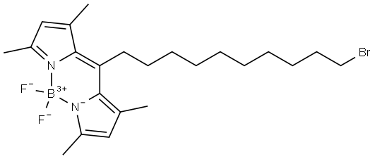 Boron, [2-?[11-?bromo-?1-?(3,?5-?dimethyl-?2H-?pyrrol-?2-?ylidene-?κN)?undecyl]?-?3,?5-?dimethyl-?1H-?pyrrolato-?κN]?difluoro-?, (T-?4)?- Structure