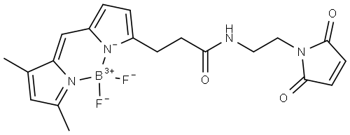 BDP FL maleimide Structure