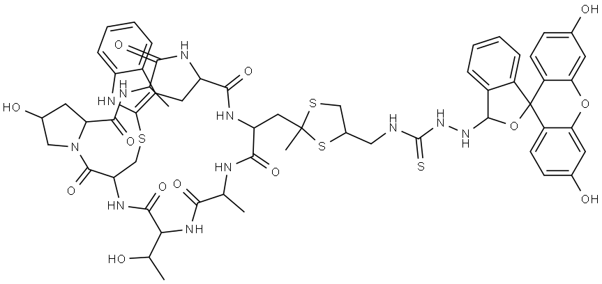 FLUORESCEIN PHALLOIDIN Structure