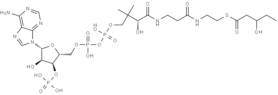 Coenzyme A, S-(3-hydroxypentanoate) (9CI) Structure