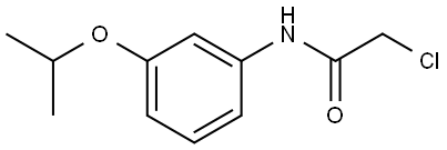 2-Chloro-N-[3-(1-methylethoxy)phenyl]acetamide Structure