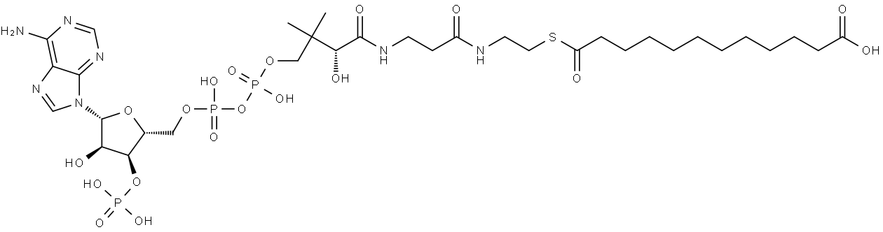 Dodecanedioyl CoA

DISCONTINUED. Please see D495064. Structure