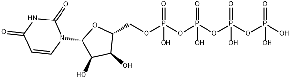 uridine 5'-tetraphosphate Structure