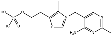 3-[(4-Amino-2-methyl-5-pyrimidinyl)methyl]-4-methyl-5-[2-(phosphonooxy)ethyl]thiazolium Structure