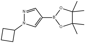 1-Cyclobutyl-4-(4,4,5,5-tetraMethyl-1,3,2-dioxaborolan-2-yl)-1H-pyrazole 구조식 이미지