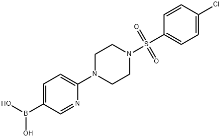 2-[4-(4-Chlorophenylsulfonyl)piperazin-1-yl]pyridine-5-boronic acid 구조식 이미지