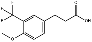 3-[4-Methoxy-3-(trifluoromethyl)phenyl]propionicacid 구조식 이미지