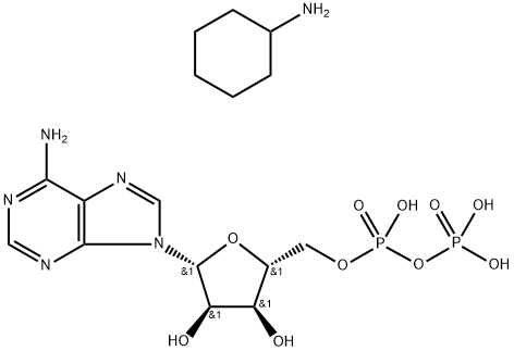 102029-87-8 ADENOSINE 5'-DIPHOSPHATE DI(MONOCYCLOHEXYLAMMONIUM) SALT