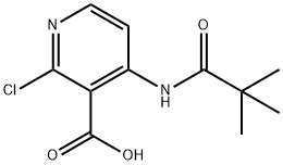 2-CHLORO-4-PIVALAMIDONICOTINIC ACID Structure