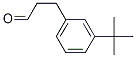 Benzenepropanal, 3-(1,1-diMethylethyl)- 구조식 이미지