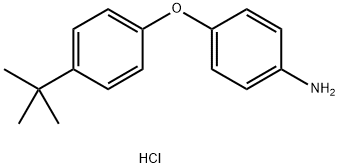 4-[4-(TERT-BUTYL)PHENOXY]ANILINE HYDROCHLORIDE Structure