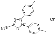 CTC Structure