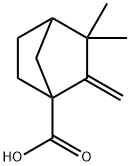 3,3-DIMETHYL-2-METHYLENE-BICYCLO[2.2.1]HEPTANE-1-CARBOXYLIC ACID Structure