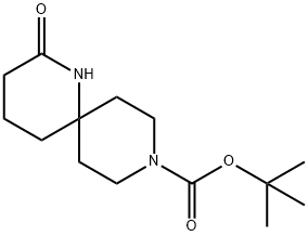 tert-Butyl 2-oxo-1,9-diazaspiro[5.5]undecane-9-carboxylate Structure