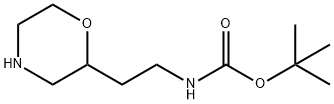 tert-butyl (2-morpholin-2-ylethyl)carbamate(SALTDATA: FREE) 구조식 이미지