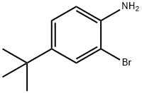 2-Bromo-4-tert-butylaniline 구조식 이미지