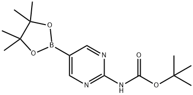 2-(TERT-부톡시카르보닐아미노)피리미딘-5-붕소산,피나콜에스테르 구조식 이미지