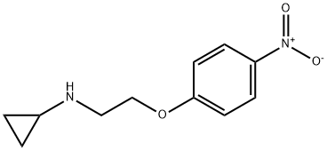 N-(2-(4-Nitrophenoxy)ethyl)cyclopropanaMine 구조식 이미지