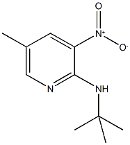 2-t-ButylaMino-5-Methyl-3-nitropyridine 구조식 이미지