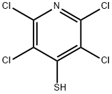 2,3,5,6-Tetrachloropyridine-4-thiol Structure