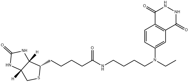 aminobutylethylisoluminol-biotin Structure