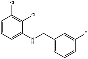 2,3-디클로로-N-(3-플루오로벤질)아닐린 구조식 이미지