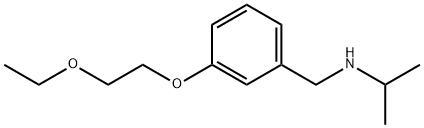 N-[3-(2-Ethoxyethoxy)benzyl]-2-propanamine 구조식 이미지