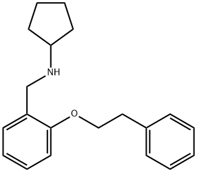 N-[2-(Phenethyloxy)benzyl]cyclopentanamine 구조식 이미지