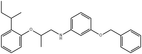 3-(Benzyloxy)-N-{2-[2-(sec-butyl)phenoxy]-propyl}aniline Structure